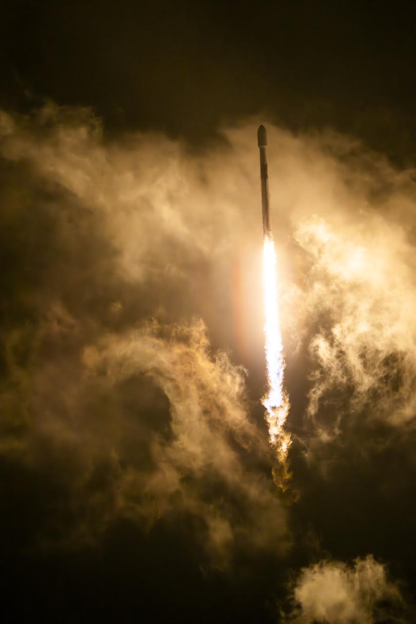 Falcon 9 Block 5 Launch view