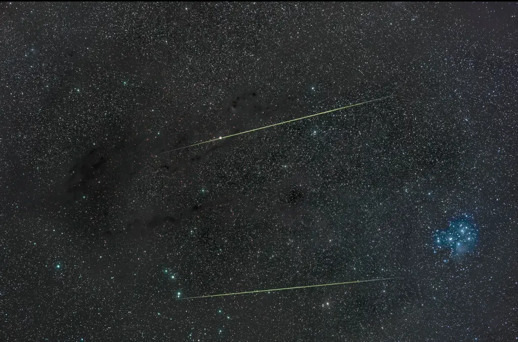 Orionids in Taurus