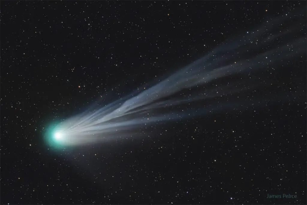 Comet Pons-Brooks’ Ion Tail