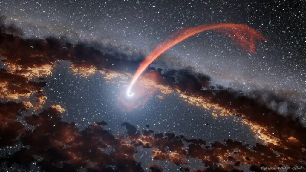 A Black Hole Disrupts a Passing Star