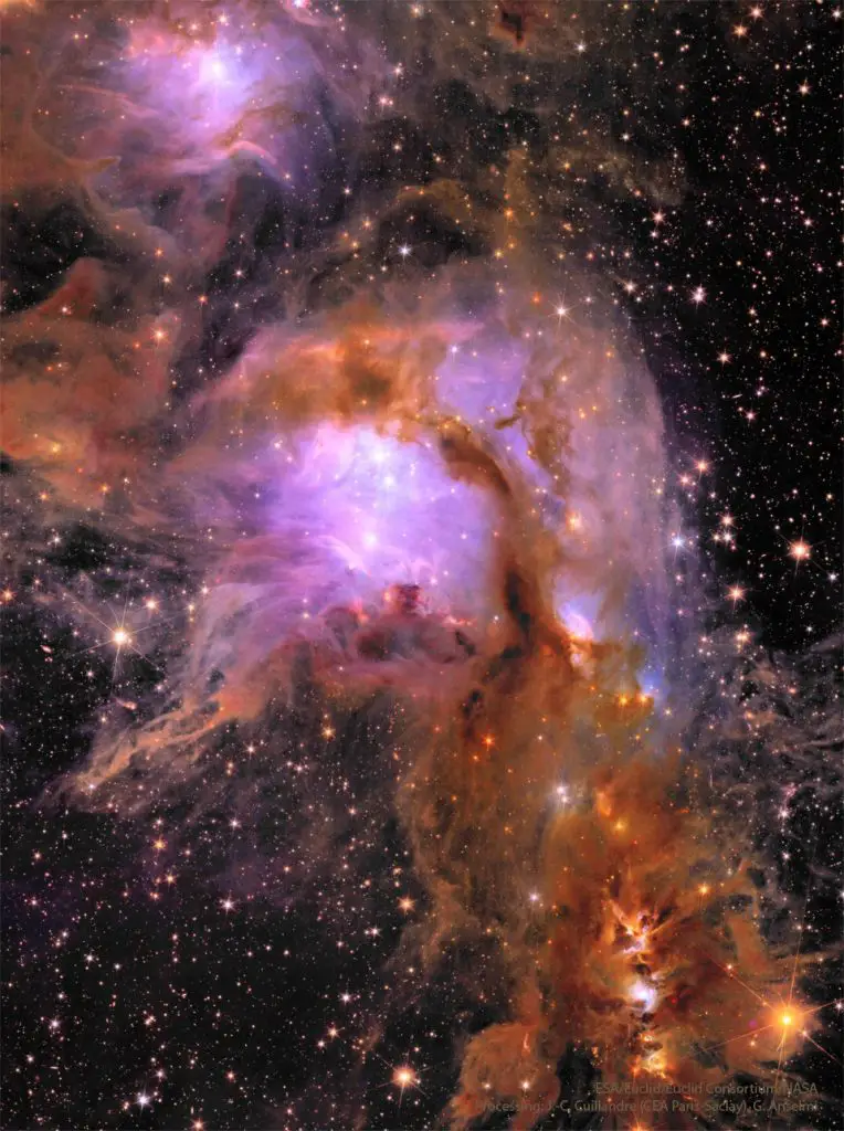 M78 from the Euclid Space Telescope