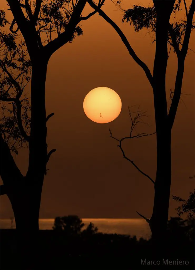 AR 3664 on a Setting Sun