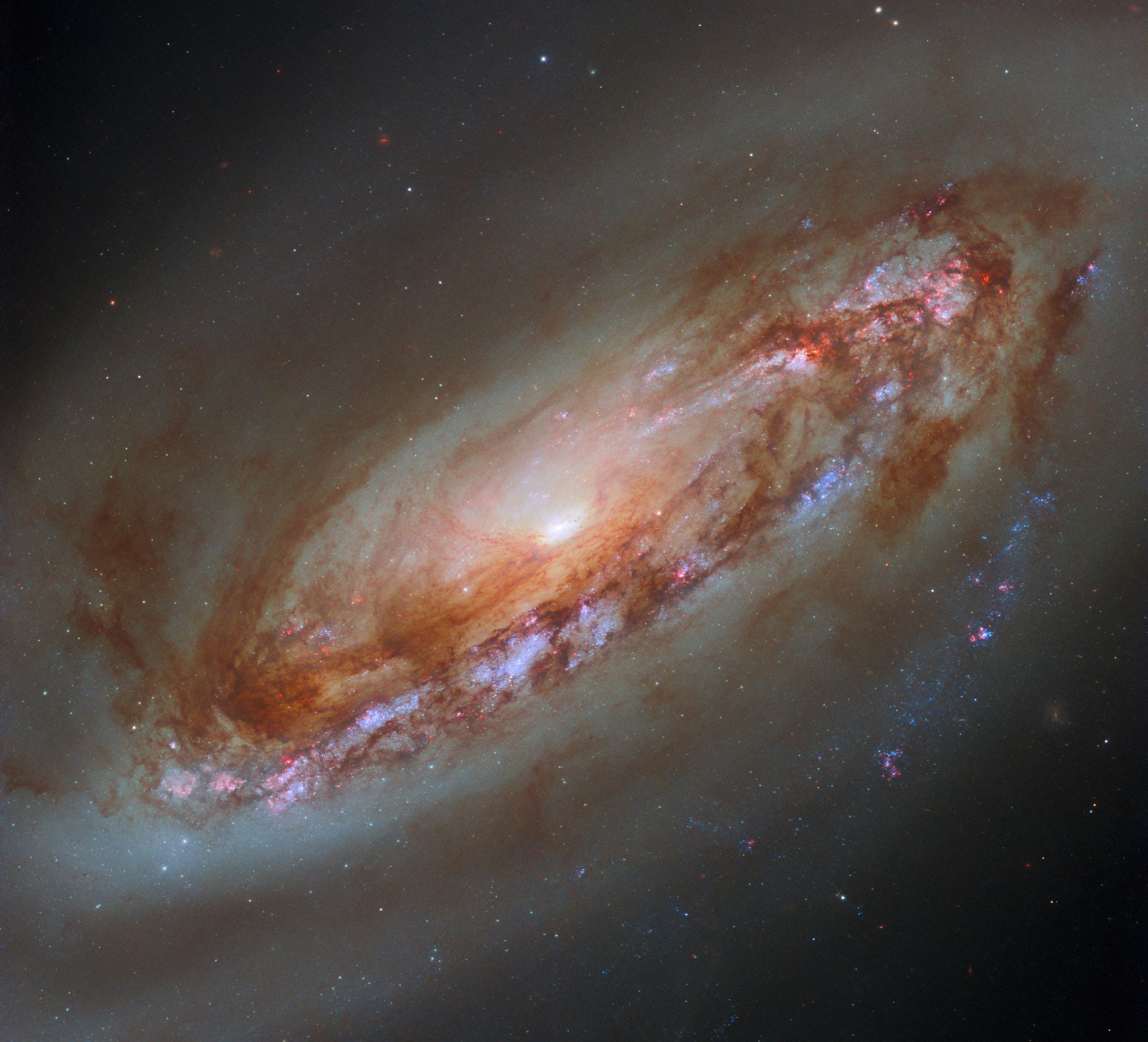 Hubble Captures a New View of Galaxy M90 Space Launch Schedule