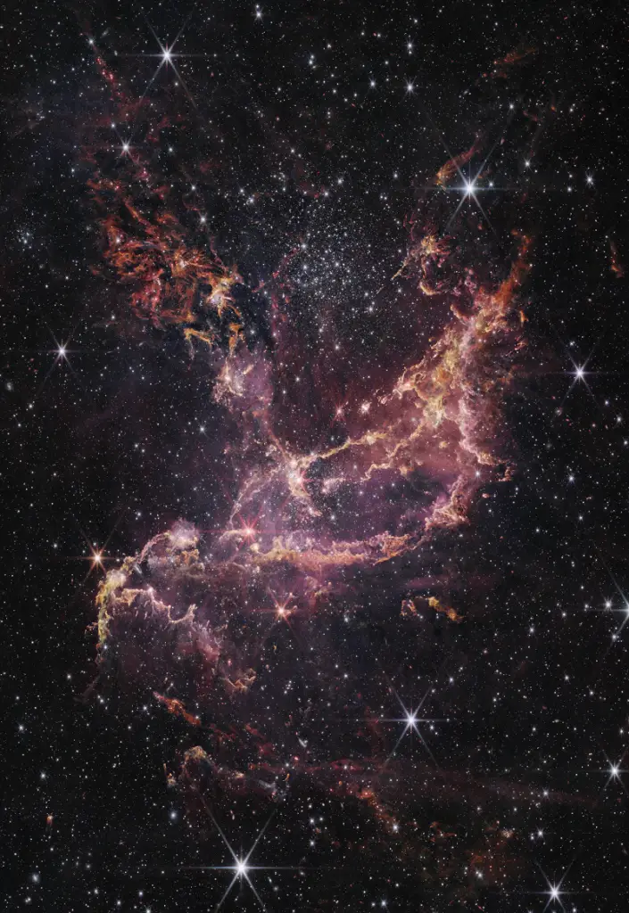 Young Star Cluster NGC 346
