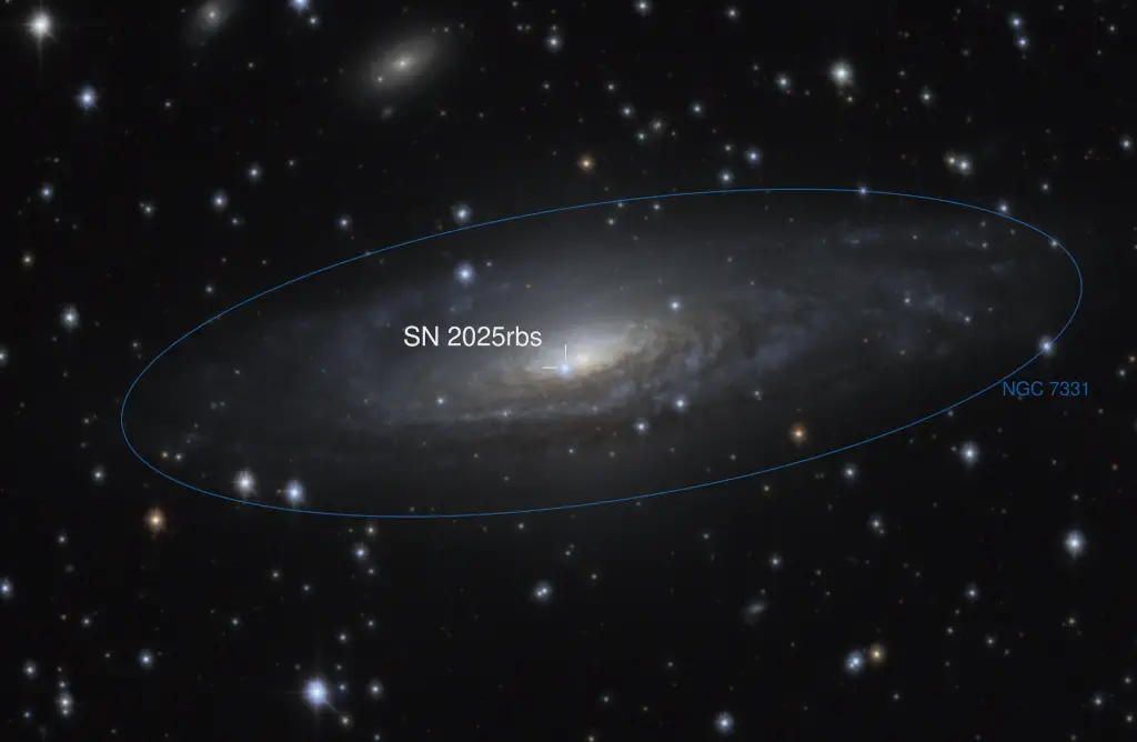 Supernova 2025rbs in NGC 7331