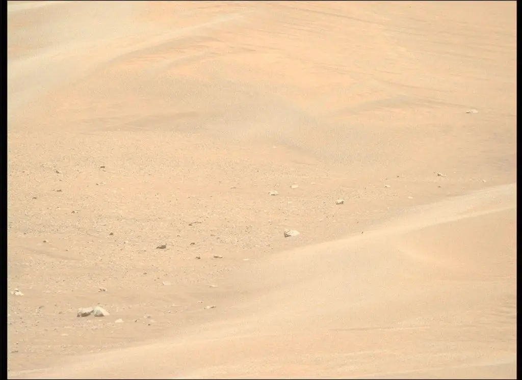 To See the World in a Grain of Sand: Investigating Megaripples at ‘Kerrlaguna’