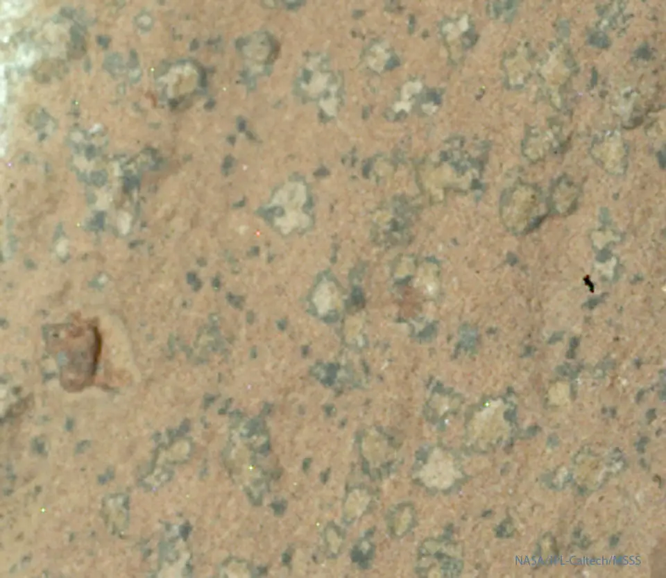 Leopard Spots on Martian Rocks