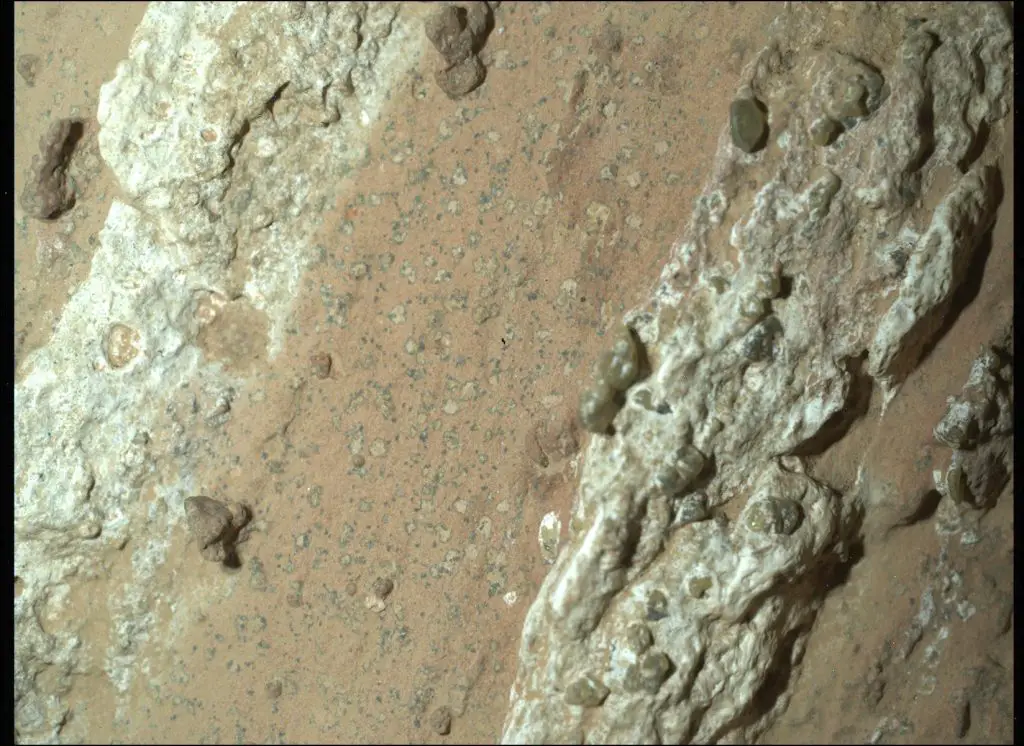NASA Says Mars Rover Discovered Potential Biosignature Last Year