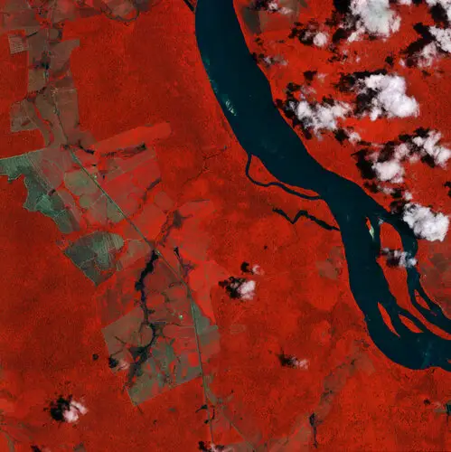 Earth from Space: Branco River, Brazil