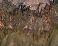 Ancient Martian brines left bromine rich fingerprints in jarosite minerals