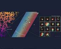 Vast spinning galaxy filament mapped in nearby Universe