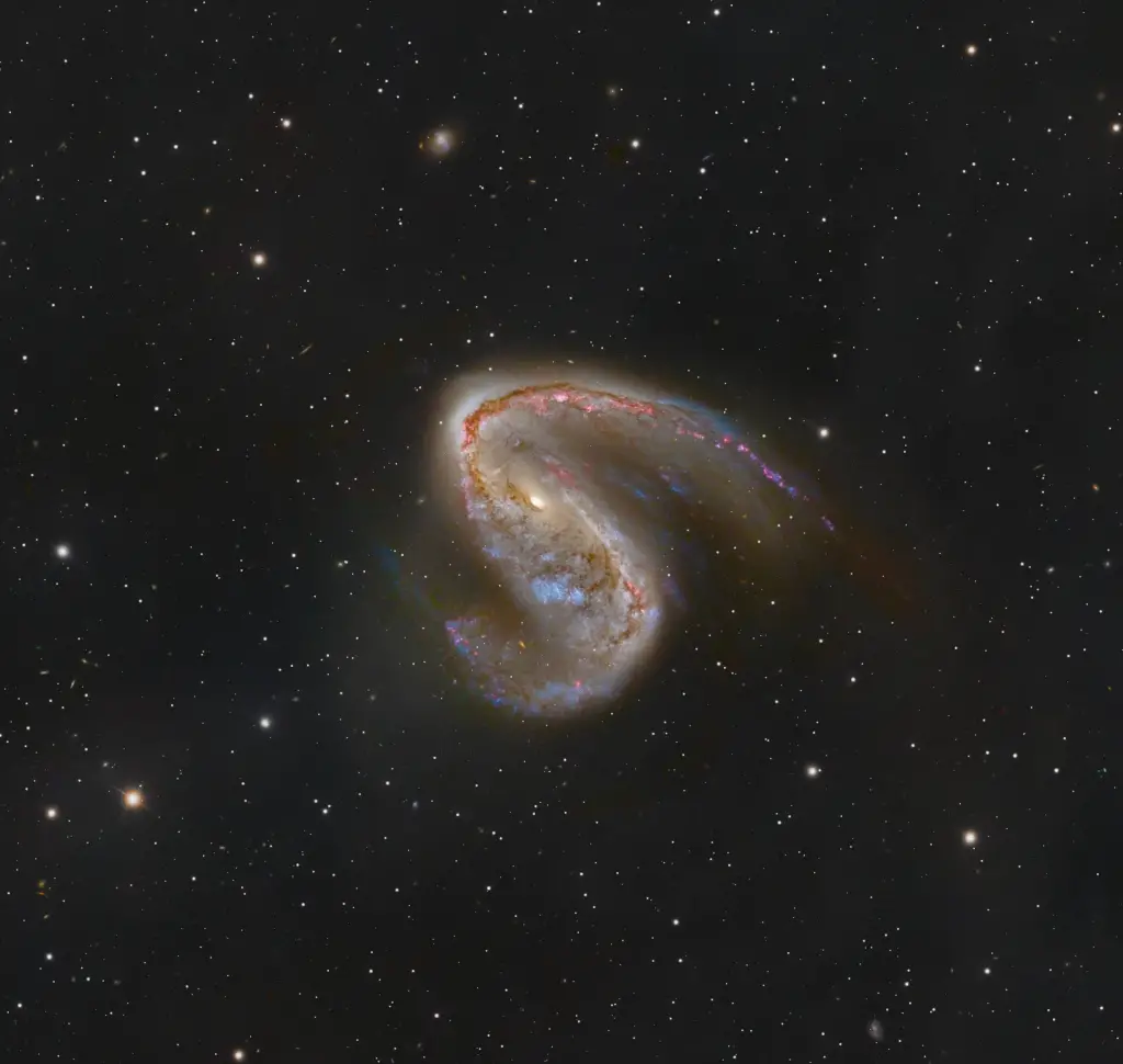 NGC 2442: Galaxy in Volans