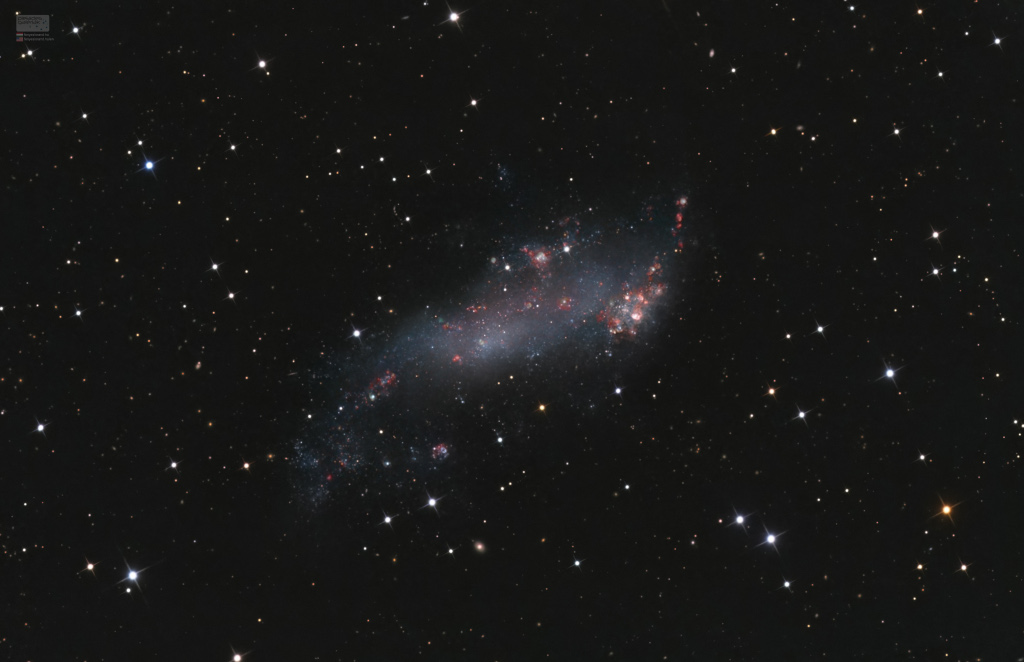 IC 2574: Coddington’s Nebula