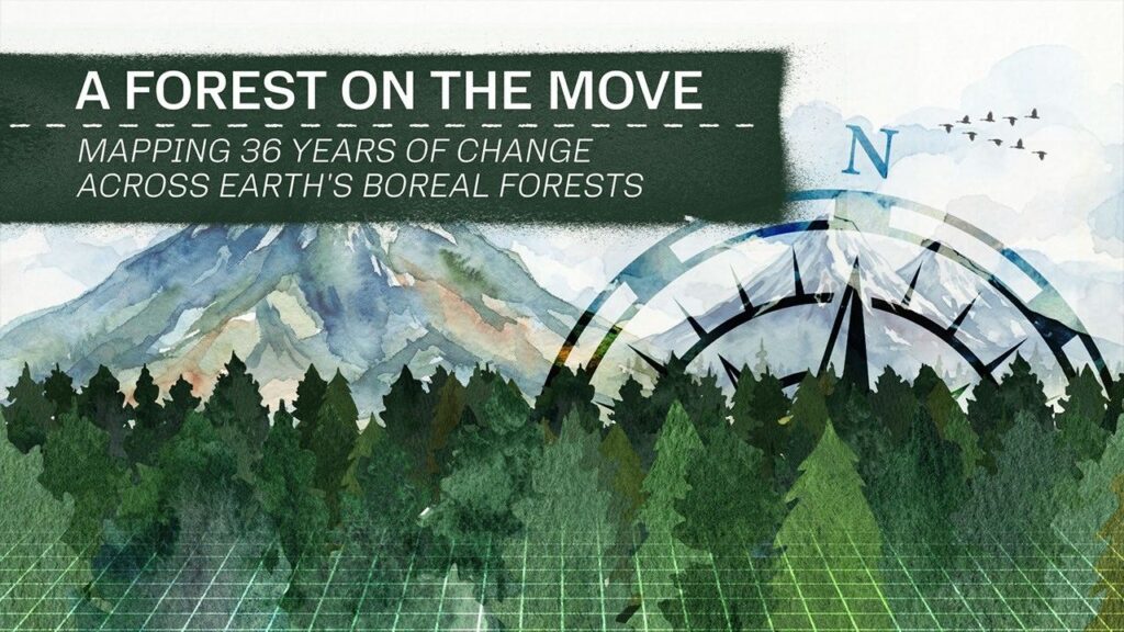 Boreal Forests Are Shifting North