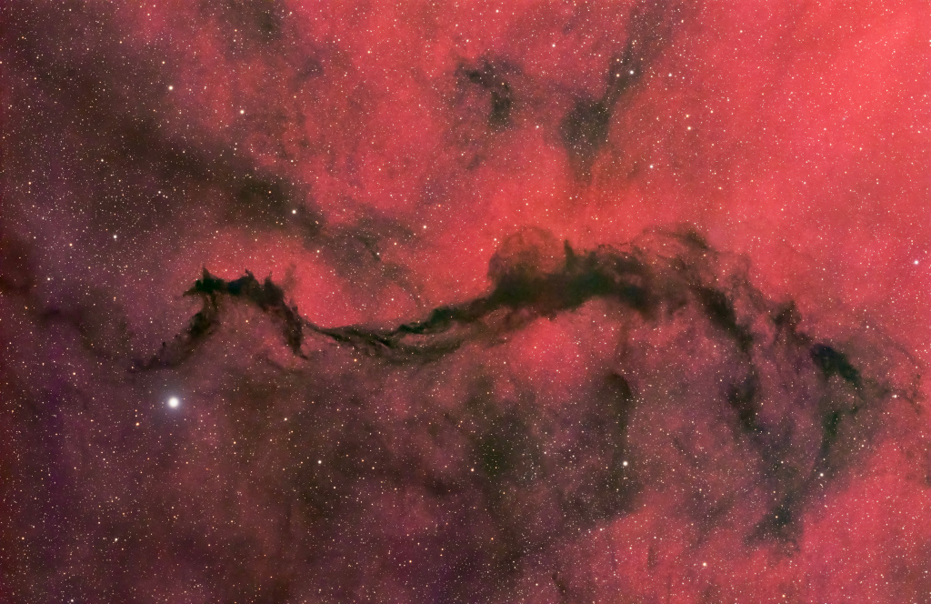 A Dark Veil in Ophiuchus