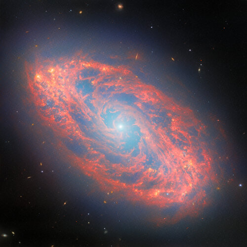 The stellar lifecycle in a nearby spiral