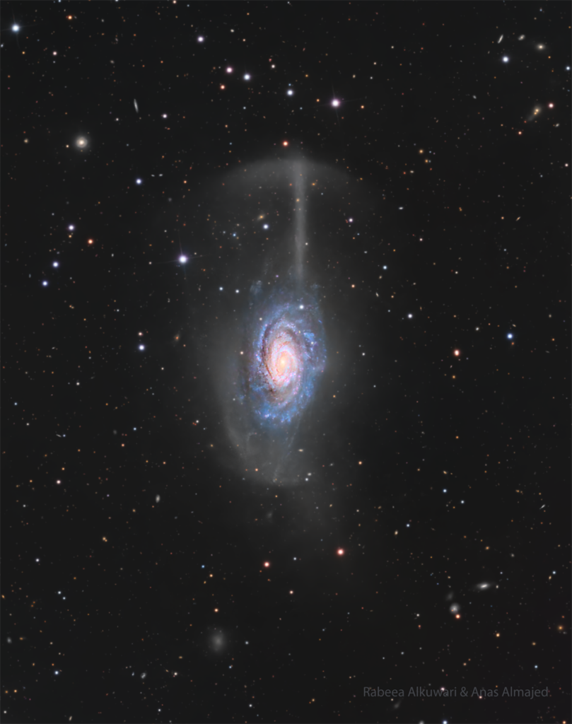 NGC 4651: The Umbrella Galaxy