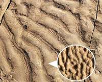 Deep sea wrinkles reveal ancient chemosynthetic microbes