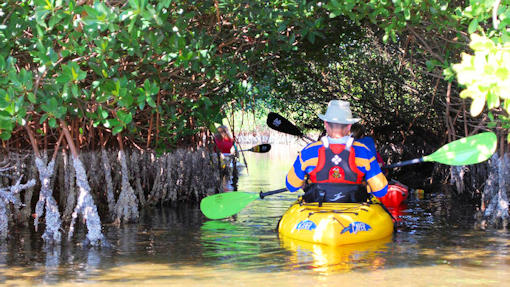 Adventure Kayak of Cocoa Beach: Rocket Launch Viewing