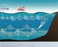 Climate change speeds up destruction of key greenhouse gas