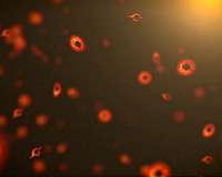 Exploding primordial black hole model may link extreme neutrino and dark matter