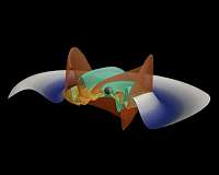 Gravitational wave triad puts relativity under intense scrutiny