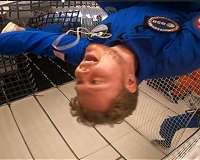 Open source microscope enables low cost live cell imaging in zero gravity