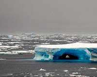 Antarctic ice feedback limits Southern Ocean carbon sink