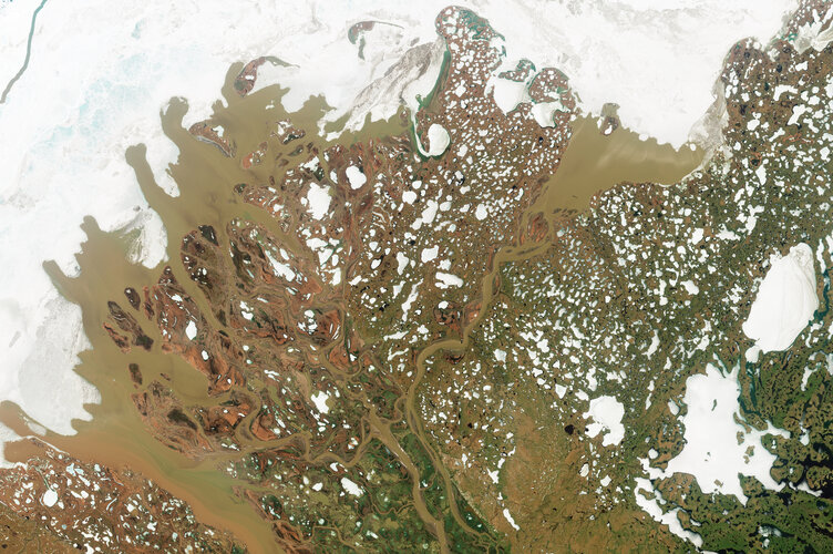 Tracking Arctic freshwater flow from space