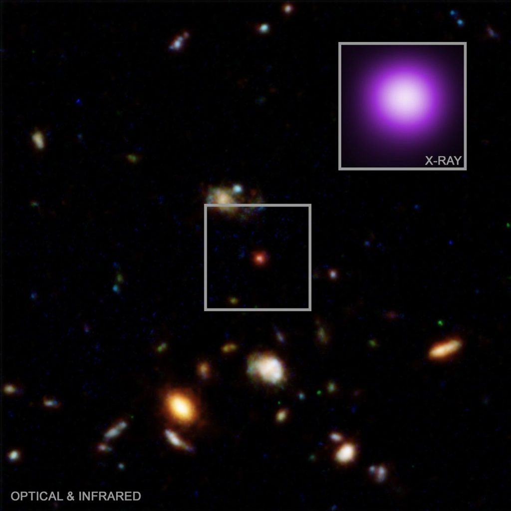 NASA Connects Little Red Dots with Chandra, Webb