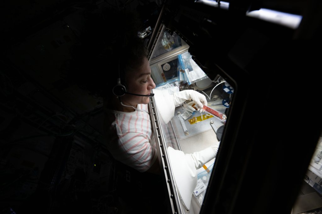 Growing Stem Cells in Space to Improve Cancer and Disease Treatments