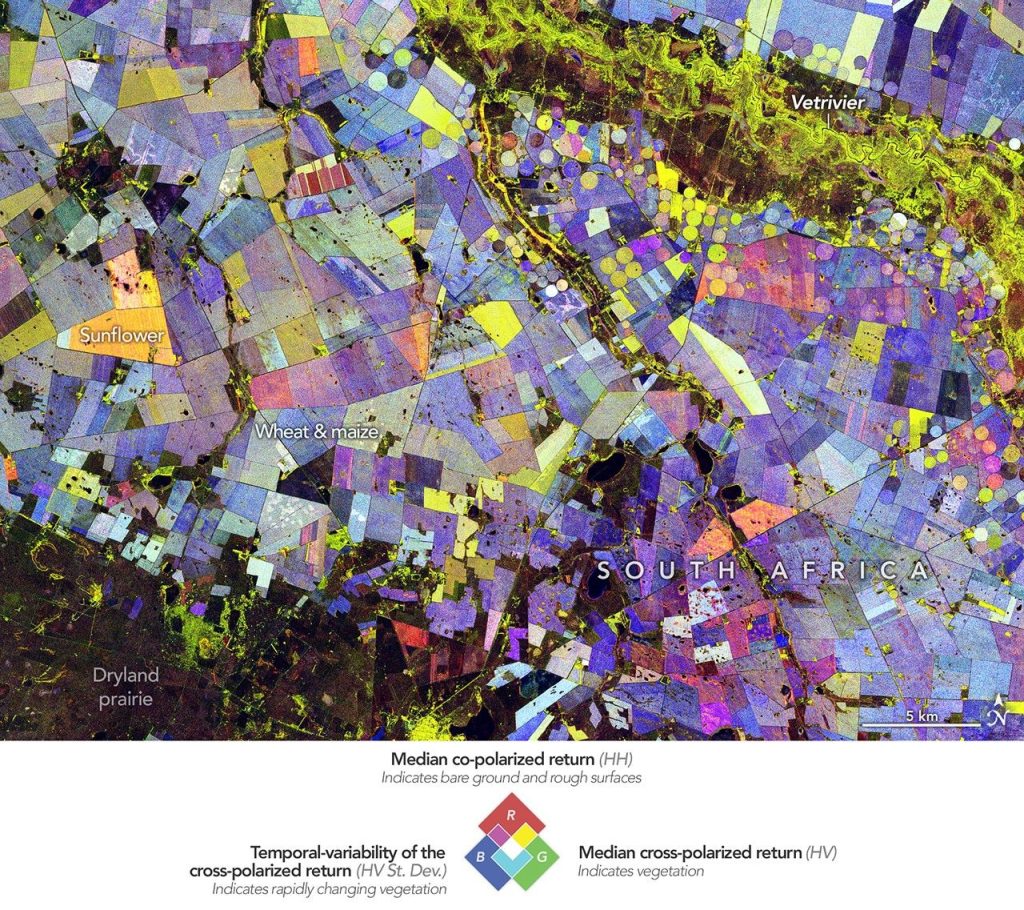 Painting the Growing Season in the Maize Triangle