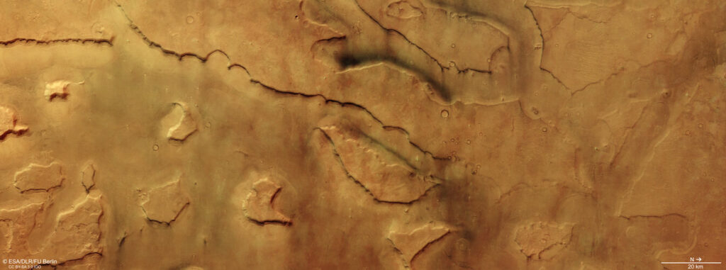 Dozens of dust devils hidden in plain sight