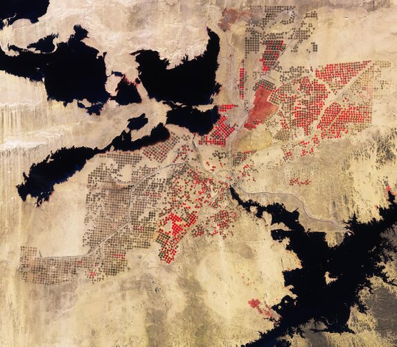Earth from Space: Desert cropland