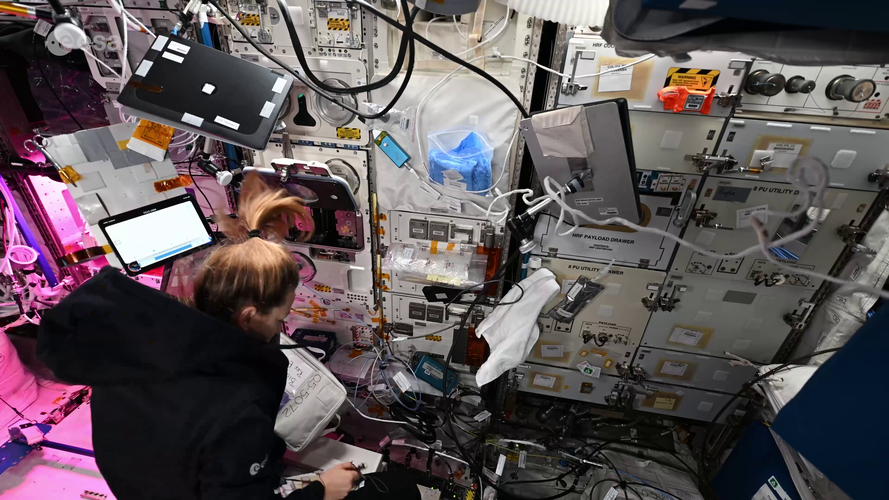 Installing NEMUCO in BioLab