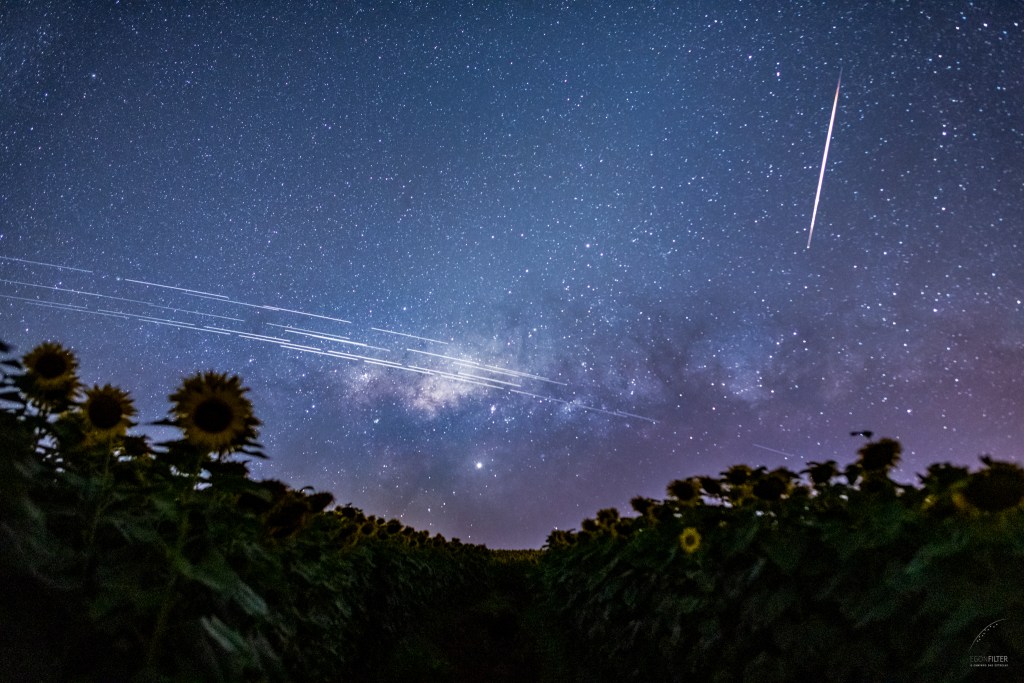NGSO trade association launches without industry giant SpaceX