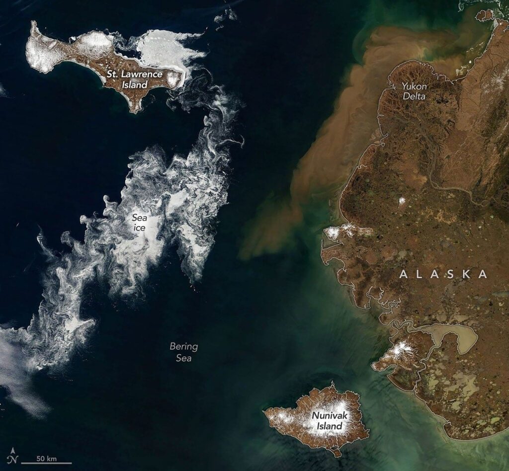 Signs of Thaw in the Bering Sea