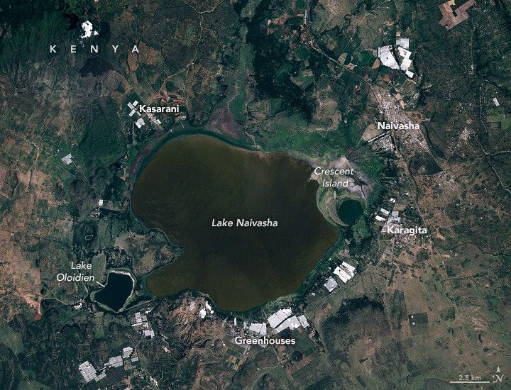 Rising Waters Swamp Lake Naivasha
