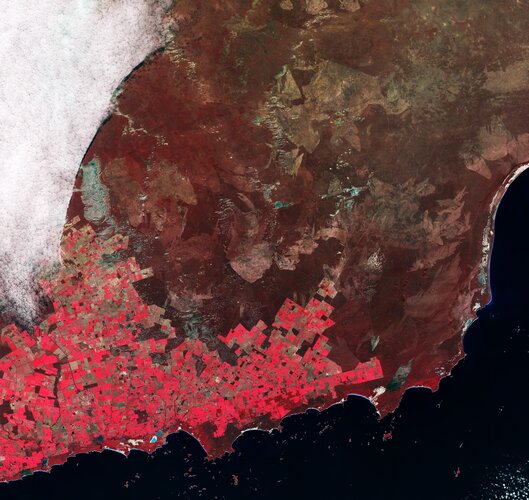 Earth from Space: Agricultural patchwork