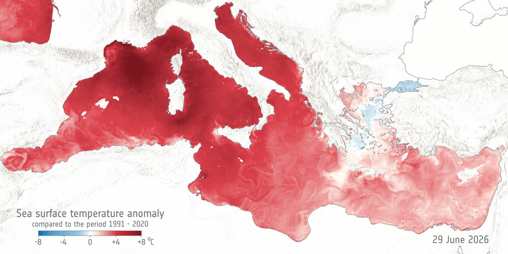 Week in images: 29 June – 03 July 2026