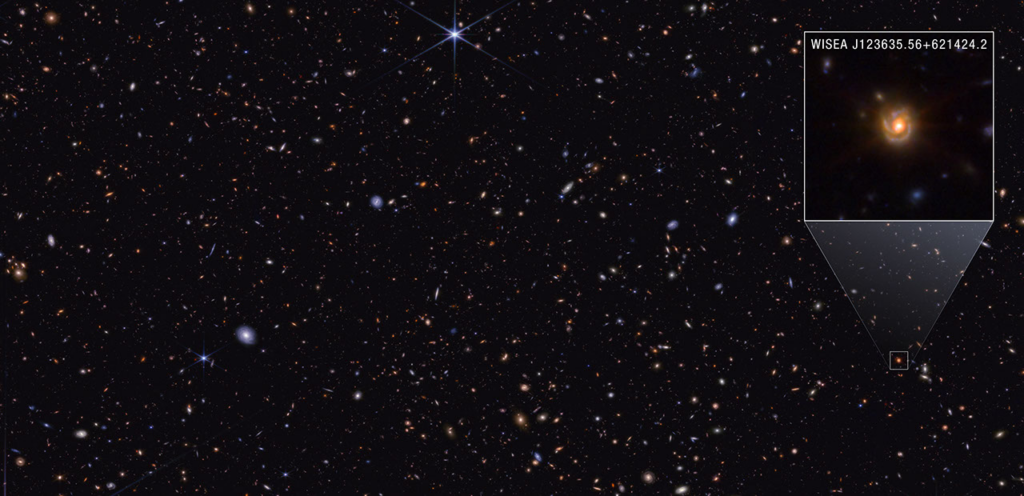 NASA Webb Explores Family Tree of Newly Discovered Distant Objects