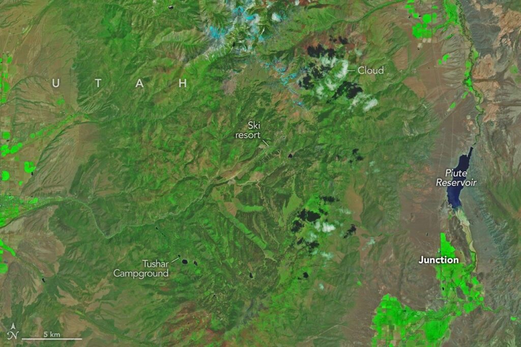 Cottonwood Fire Chars Utah