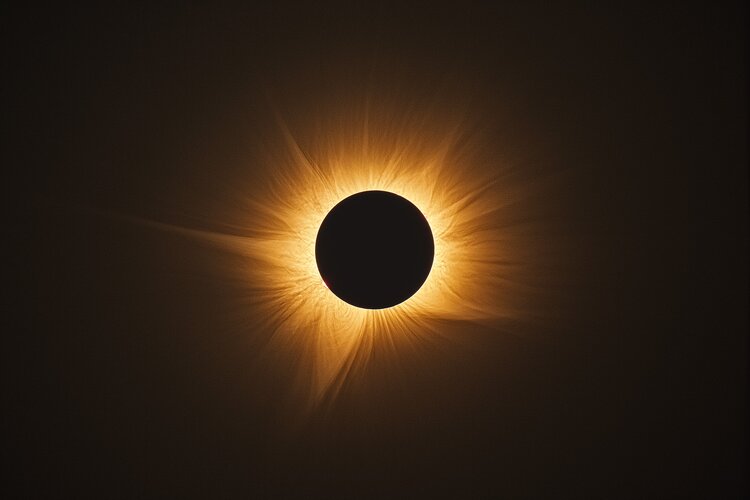 Week in images: 10-14 August 2026