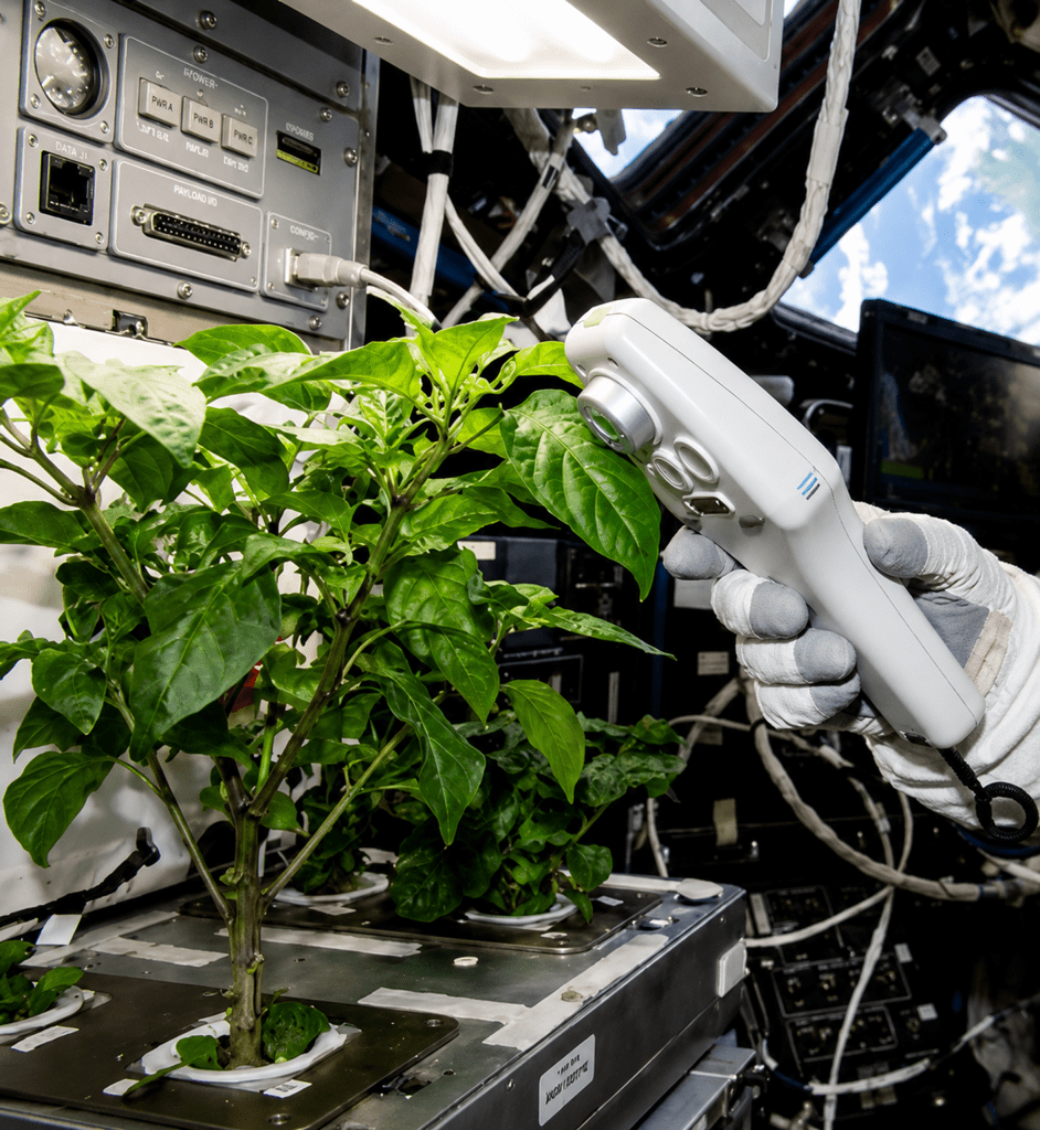 Three companies building the tech to grow crops on the moon