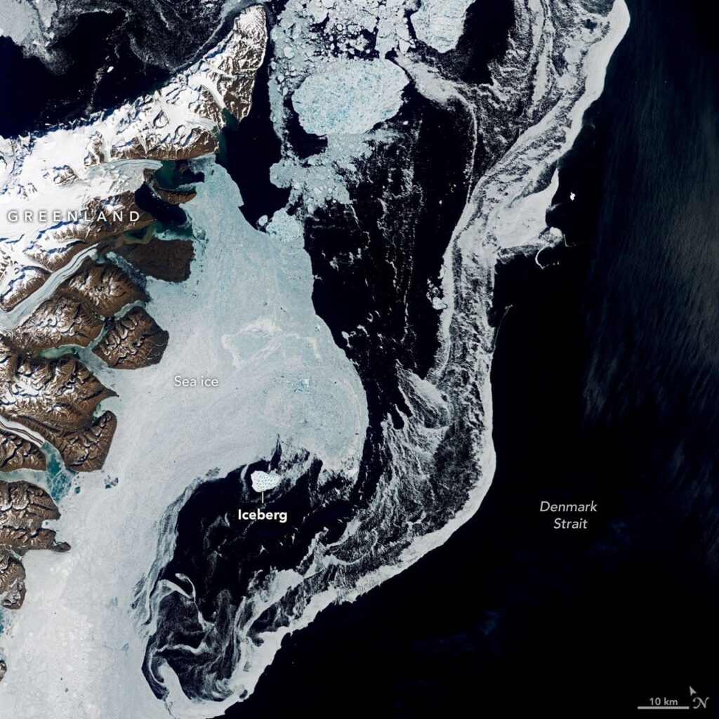 An Uncommon Drifter in the Denmark Strait