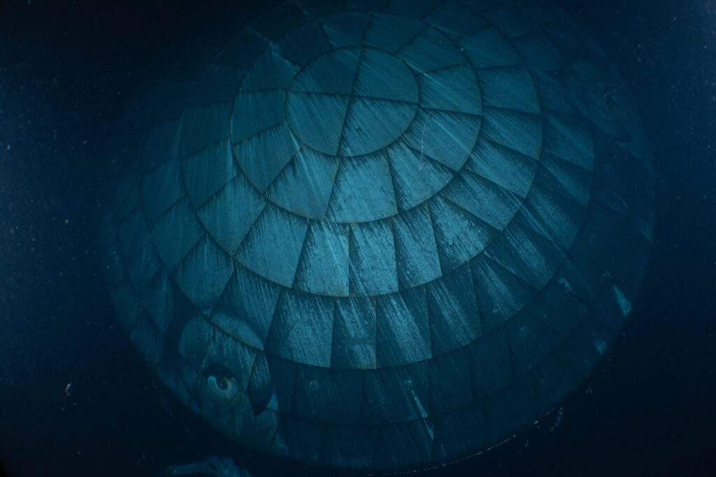 It turns out that Orion’s much-maligned heat shield performed really well