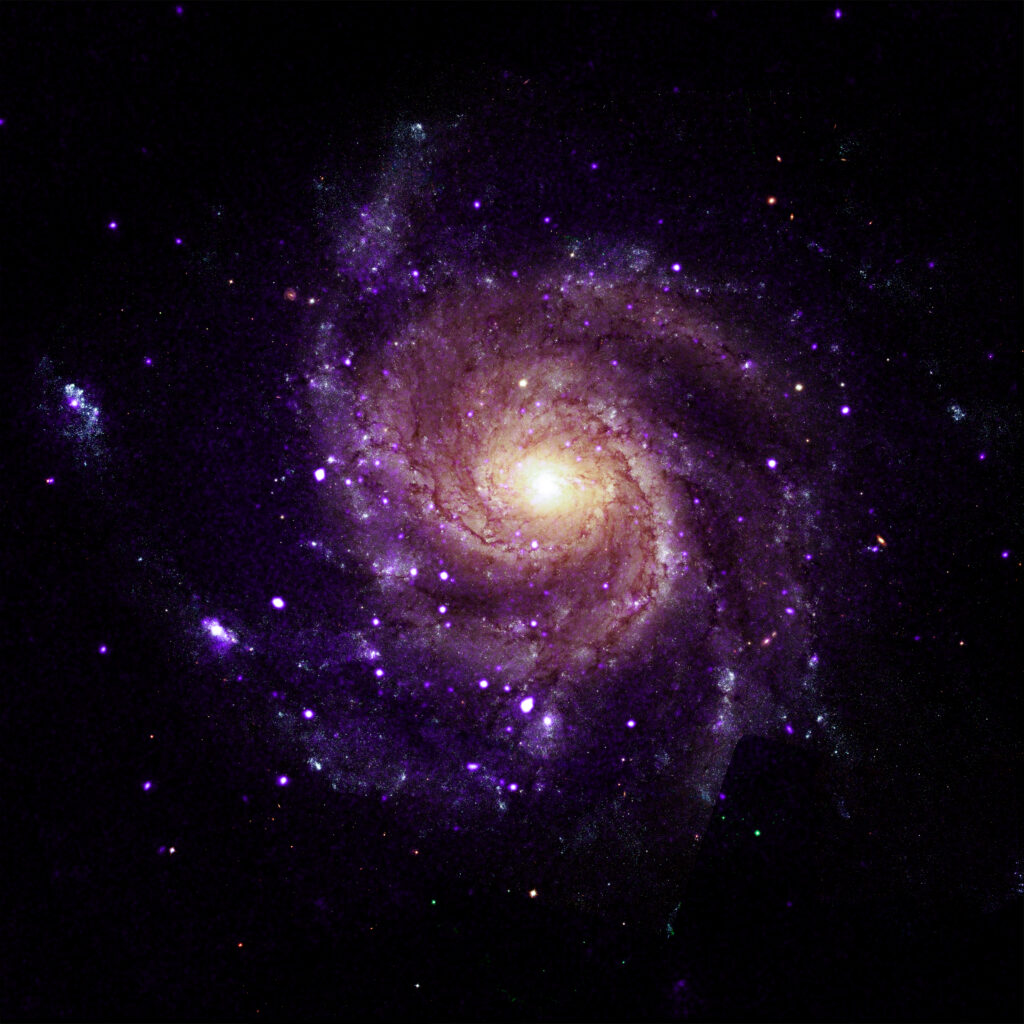 NASA's Chandra Finds Unusual Objects in Pinwheel Galaxy