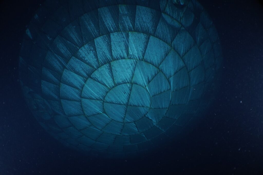 Artemis II Heat Shield After Splashdown
