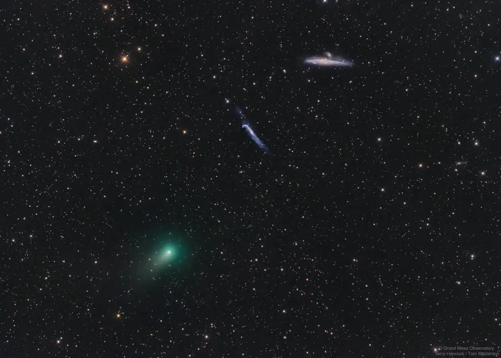 The Comet, the Whale, and the Hockey Stick