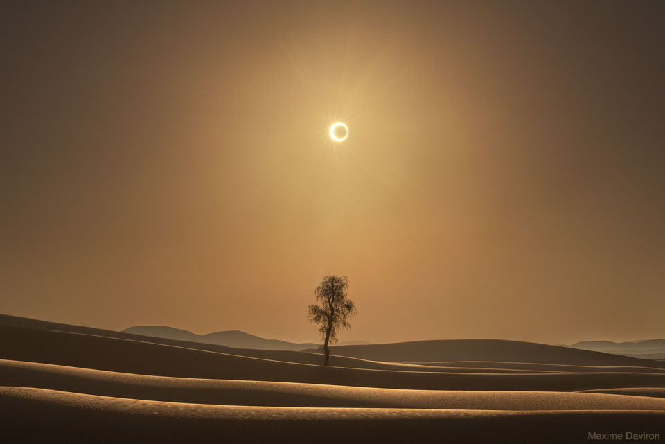 A Desert Eclipse